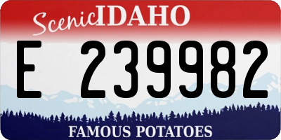 ID license plate E239982