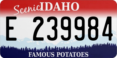 ID license plate E239984