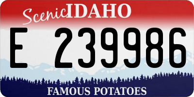 ID license plate E239986