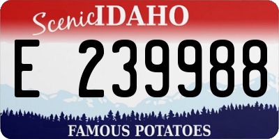 ID license plate E239988
