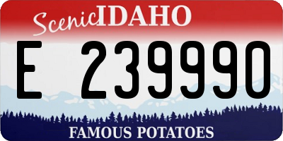 ID license plate E239990