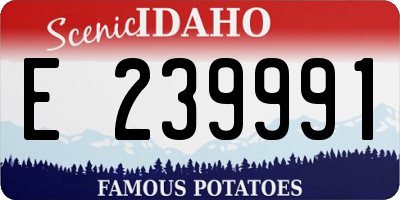 ID license plate E239991