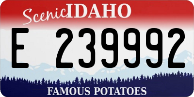 ID license plate E239992
