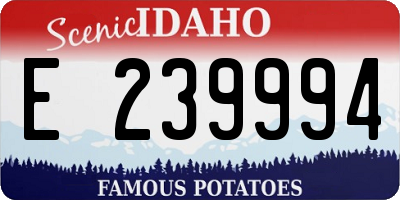 ID license plate E239994