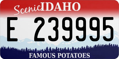ID license plate E239995