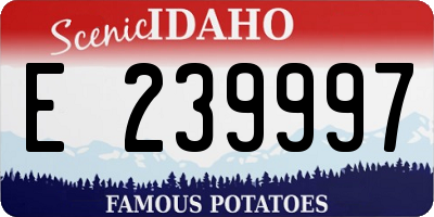 ID license plate E239997