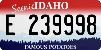ID license plate E239998
