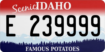 ID license plate E239999