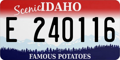 ID license plate E240116
