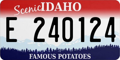 ID license plate E240124