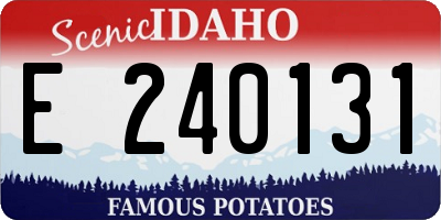 ID license plate E240131