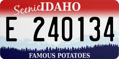 ID license plate E240134