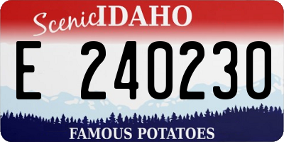 ID license plate E240230