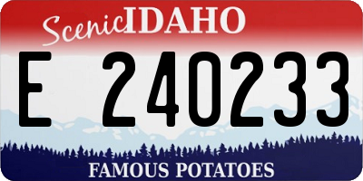 ID license plate E240233