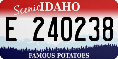 ID license plate E240238