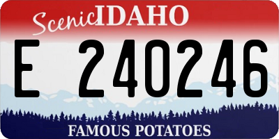 ID license plate E240246
