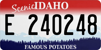 ID license plate E240248