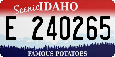 ID license plate E240265