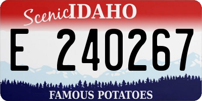 ID license plate E240267