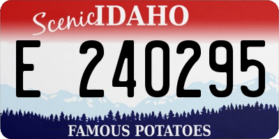 ID license plate E240295