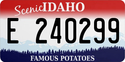 ID license plate E240299