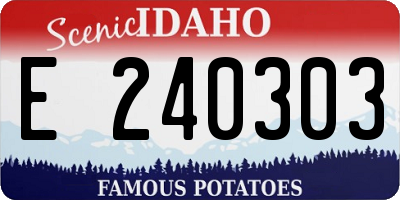 ID license plate E240303