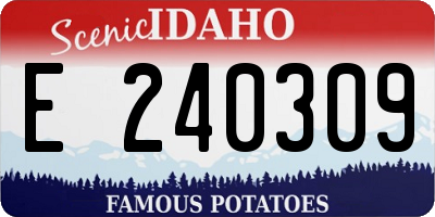 ID license plate E240309