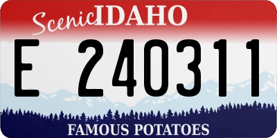 ID license plate E240311