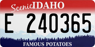 ID license plate E240365