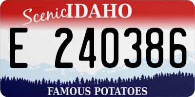 ID license plate E240386