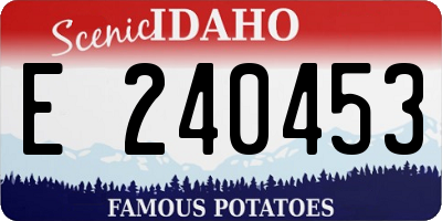 ID license plate E240453