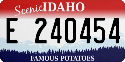 ID license plate E240454