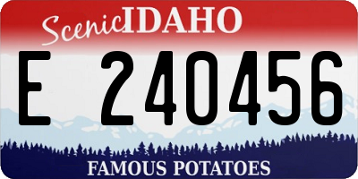 ID license plate E240456