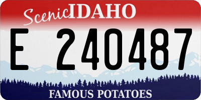 ID license plate E240487