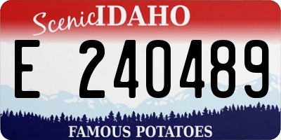ID license plate E240489
