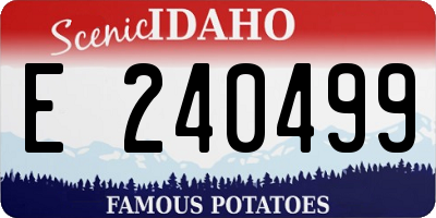 ID license plate E240499