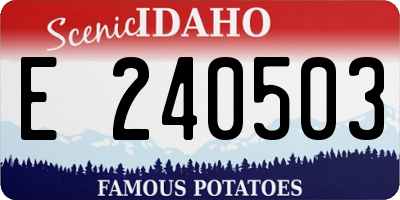 ID license plate E240503
