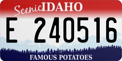 ID license plate E240516