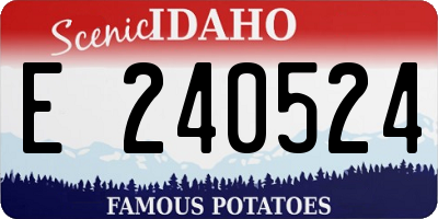 ID license plate E240524