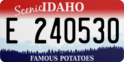 ID license plate E240530