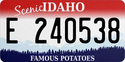 ID license plate E240538