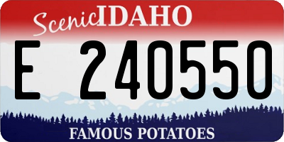 ID license plate E240550