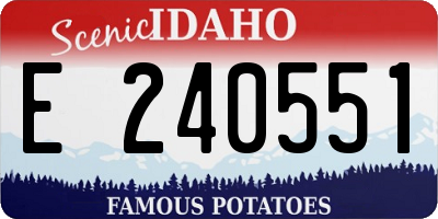 ID license plate E240551