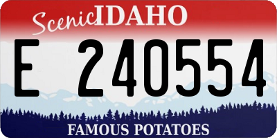 ID license plate E240554