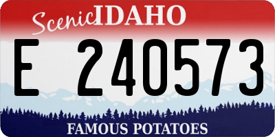 ID license plate E240573