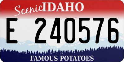 ID license plate E240576