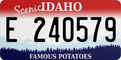 ID license plate E240579