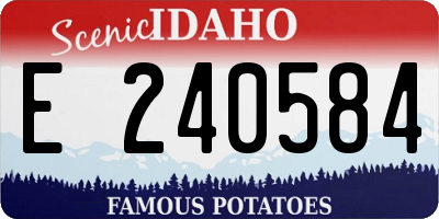 ID license plate E240584