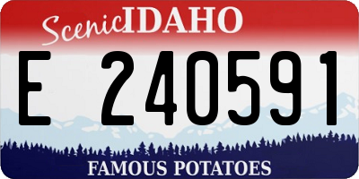 ID license plate E240591
