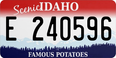 ID license plate E240596